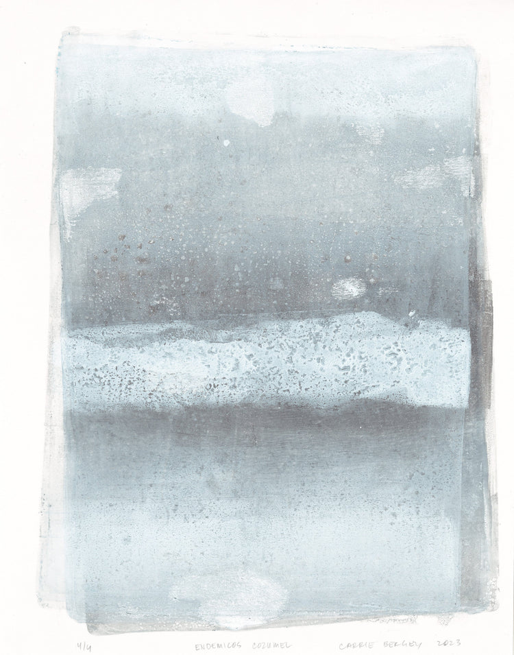 Original Fine Art Collection | Carrie Bergey