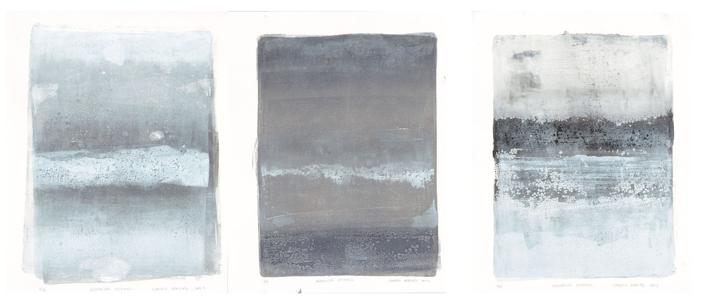 Carrie Bergey's Endemicos Triptych featuring three abstract monoprints in cool tones, celebrating endemic species and natural textures.