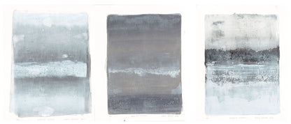 Carrie Bergey's Endemicos Triptych featuring three abstract monoprints in cool tones, celebrating endemic species and natural textures.