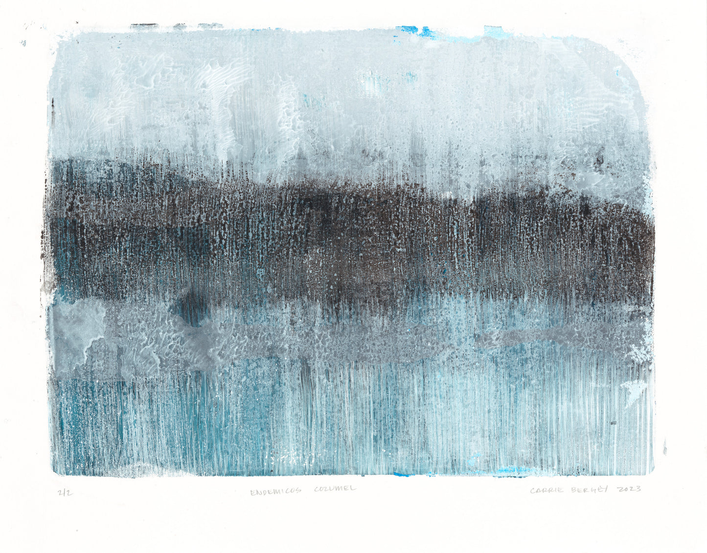 Carrie Bergey's Endemicos-02 Original Fine Art Monoprint blends organic forms and serene hues, a unique addition to visual artwork and home decor collections.