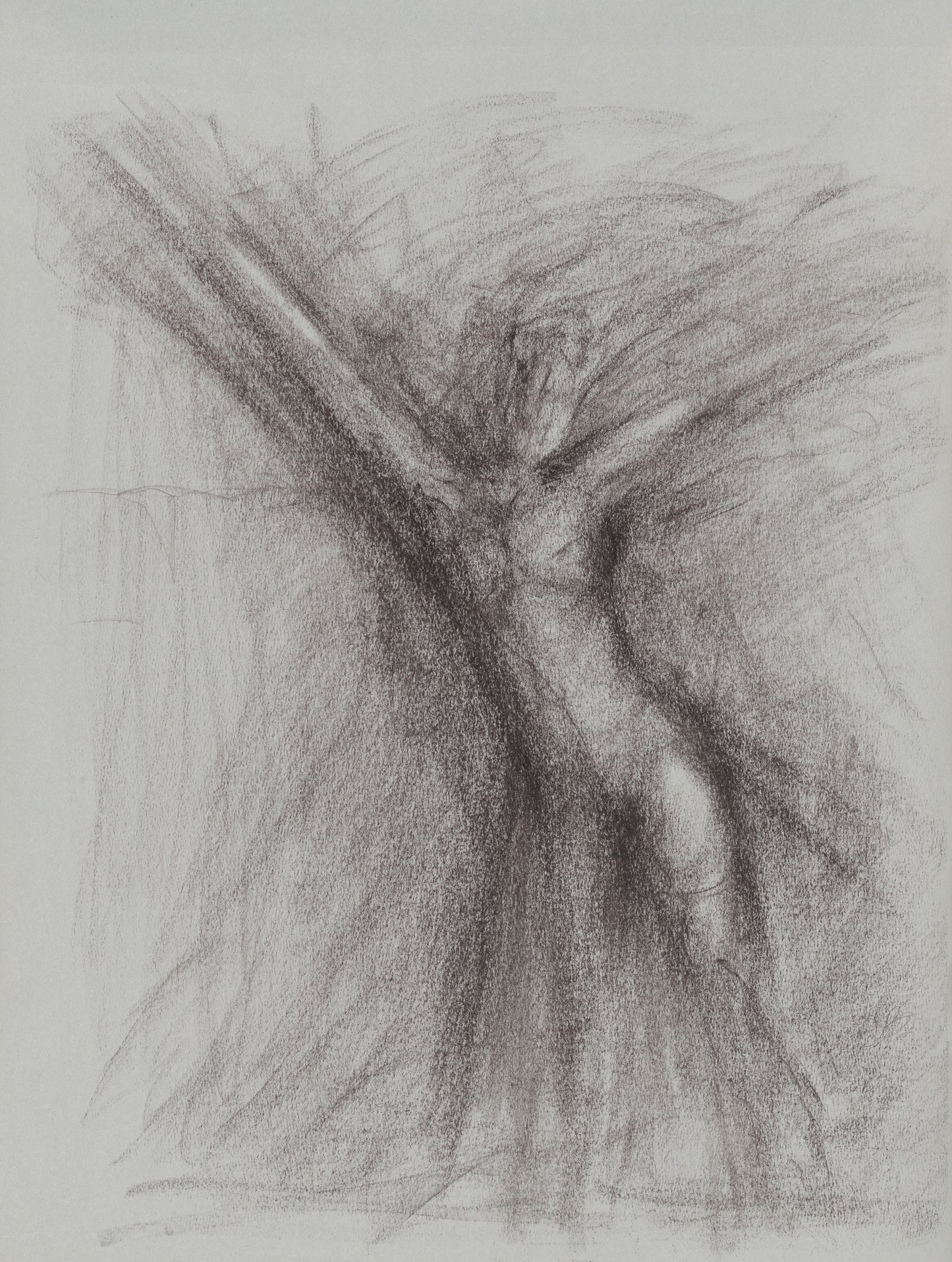 Jump Original Fine Art Drawing | Carrie Bergey