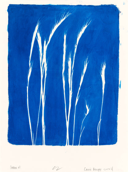 Lobos Grass 01-04 Original Fine Art Monoprint Quadriptych Collection | Carrie Bergey