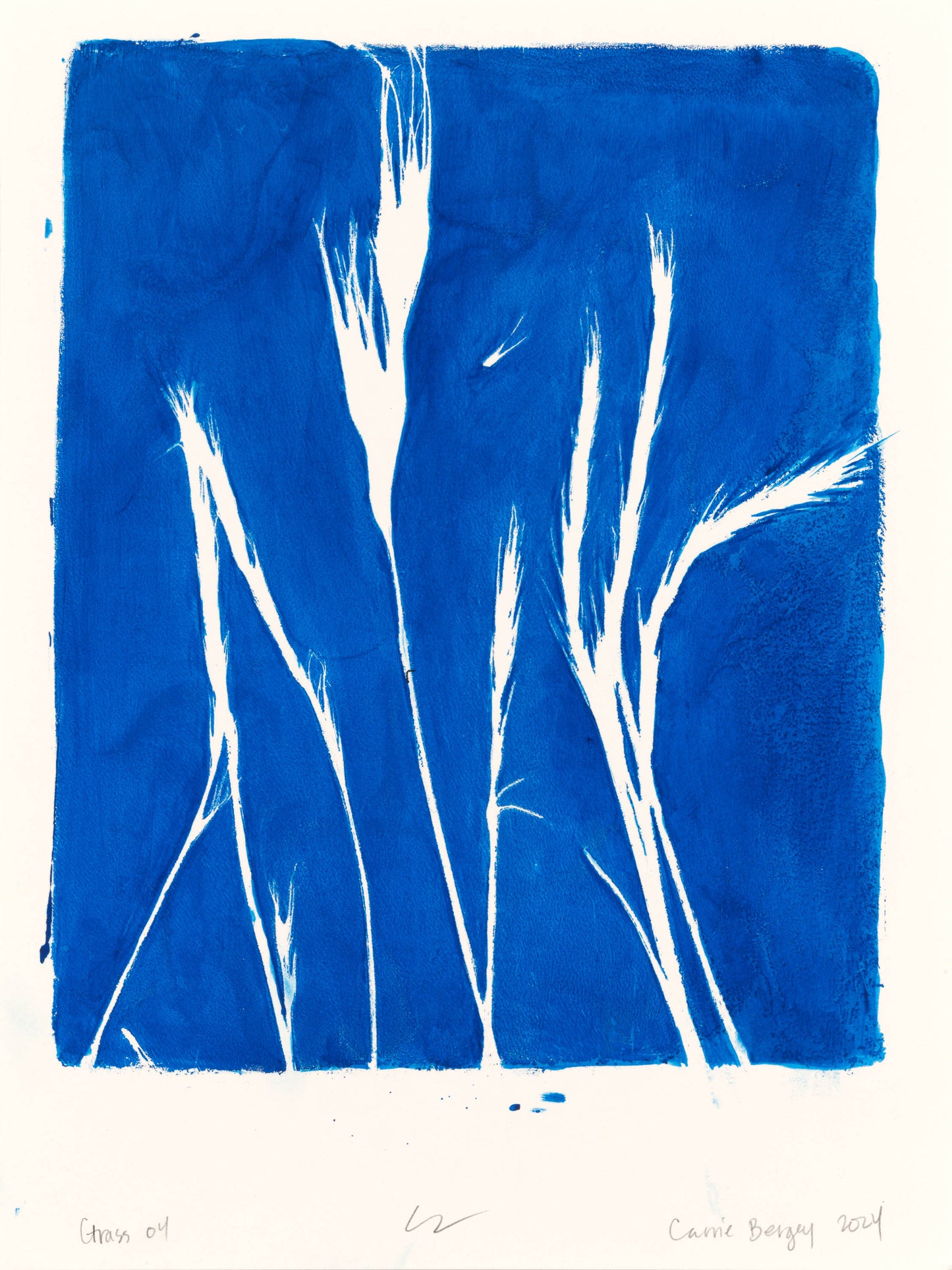 Lobos Grass 01-04 Original Fine Art Monoprint Quadriptych Collection | Carrie Bergey