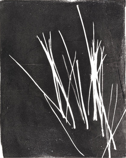 Abstract white pine needles clustered on black, from Carrie Bergey's Pine Needles Fine Art Monoprint Octaptych series.