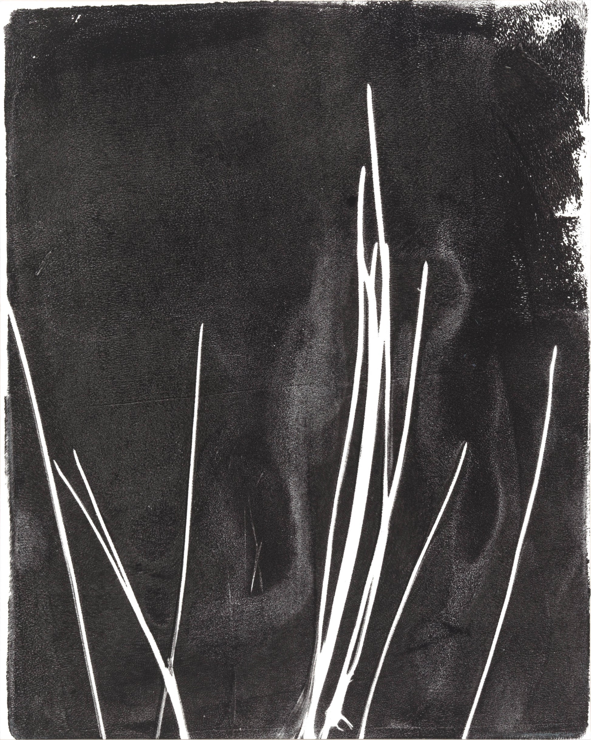 Minimalist pine needle lines in white on black background, part of Carrie Bergey's Pine Needles Monoprint Octaptych Collection.