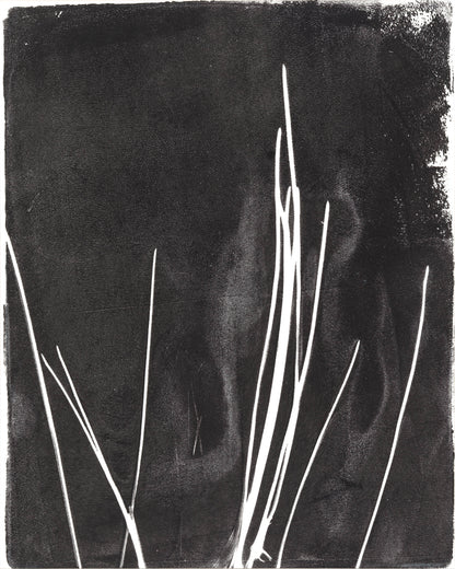 Minimalist pine needle lines in white on black background, part of Carrie Bergey's Pine Needles Monoprint Octaptych Collection.