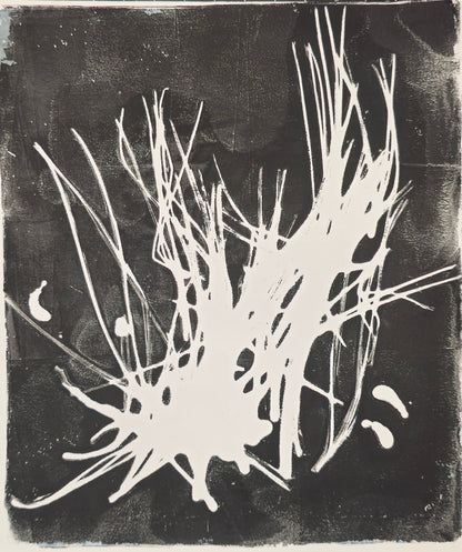 Pine Needles Monoprint - Fine Art | Original Series by Bergey features abstract white pine needle forms on a black background. A unique handcrafted original artwork.