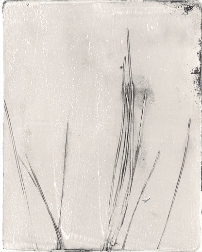Close-up of right monoprint from Pine Needles Original Fine Art Monoprint Diptych Collection showcasing fine vertical pine needle lines.