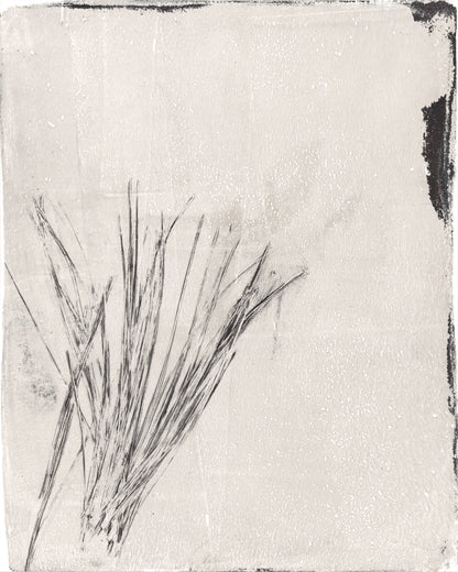 Close-up of left monoprint from Fine Art Monoprint Diptych - Carrie Bergey Art | Pine Needle Art highlighting natural pine needle detail.