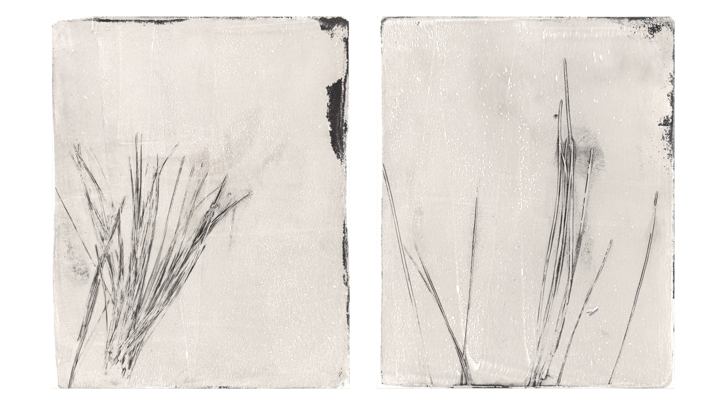 Full view of Fine Art Monoprint Diptych - Carrie Bergey Art | Pine Needle Art with both panels side by side in minimalist black and white style.