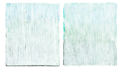 Seagrass 04-05 Original Fine Art Monoprint Diptych Collection | Carrie Bergey
