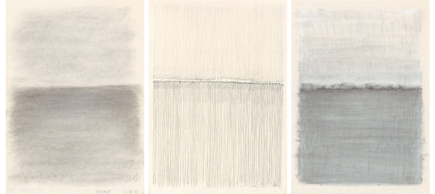 Full view of Vista 02-04-05 Triptych by Carrie Bergey, a fine art drawing series capturing Cozumel's landscapes in abstract graphite forms.