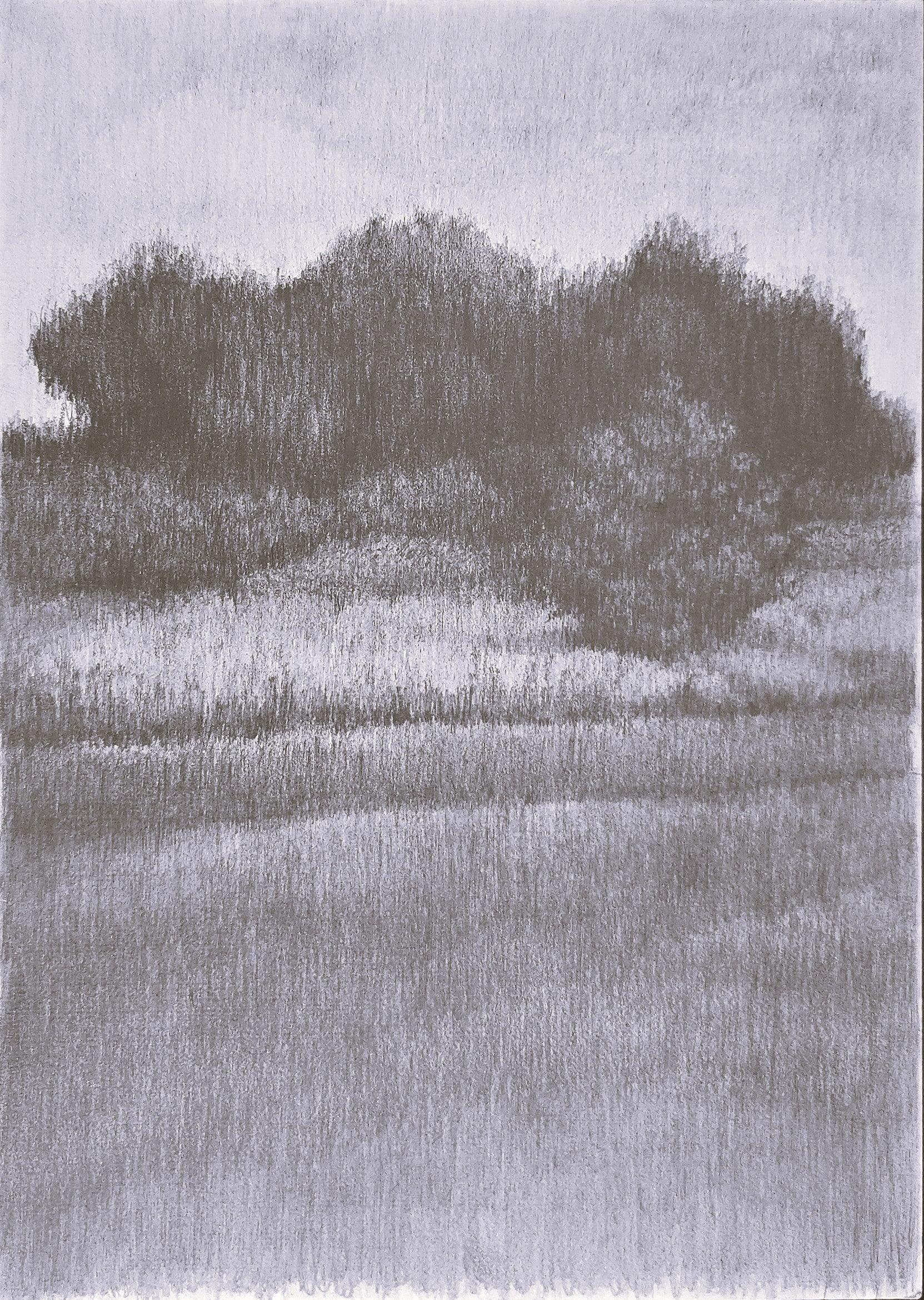 Humble Homestead Original Drawing - art by Carrie Bergey. A monochrome fine art drawing of a rural landscape with trees and fields, evoking calm simplicity.
