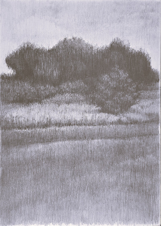 Humble Homestead Original Drawing - art by Carrie Bergey. A monochrome fine art drawing of a rural landscape with trees and fields, evoking calm simplicity.